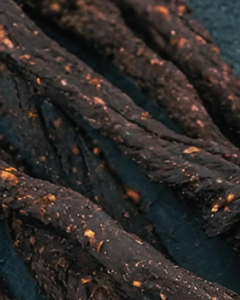 Dark, spice-crusted chilli bites