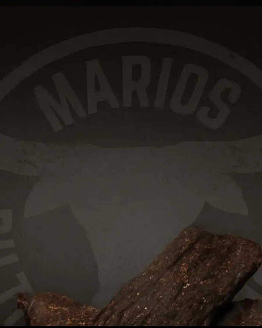 Biltong resting against a wall bearing the Marios Biltong Brothers logo